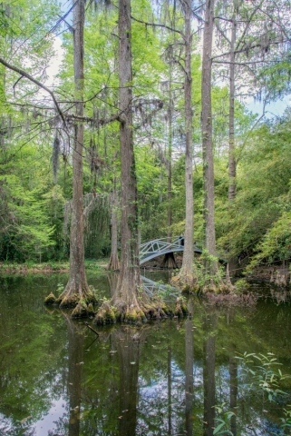 Visit Boone Hall Plantation in Charleston, Florida