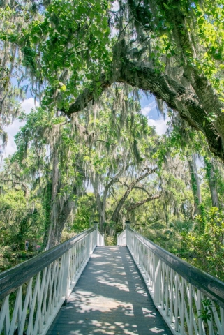 Visit Boone Hall Plantation in Charleston, Florida