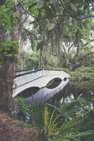 Visit Boone Hall Plantation in Charleston, Florida