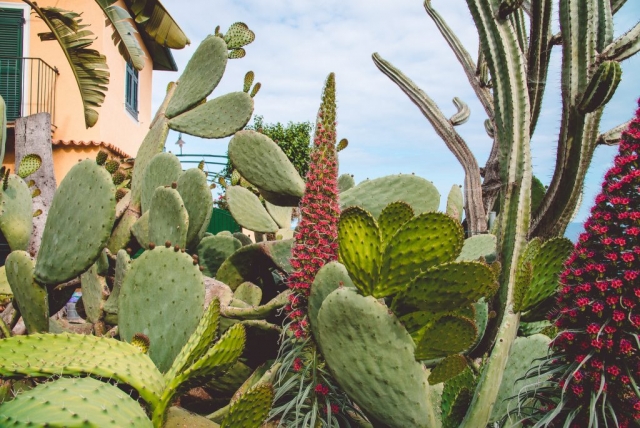 orto-botanico-pallanca-bordighera-2serialtravelers
