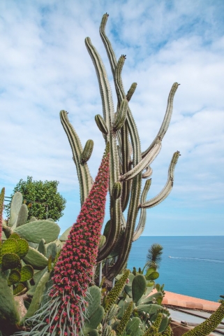 orto-botanico-pallanca-bordighera-2serialtravelers