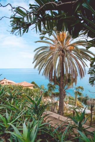orto-botanico-pallanca-bordighera-2serialtravelers