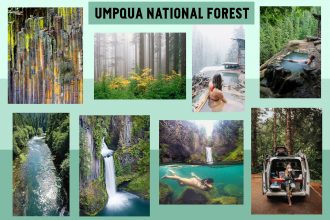 umpqua_national_forest_023